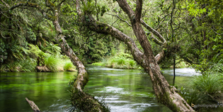Tarawera River NZ